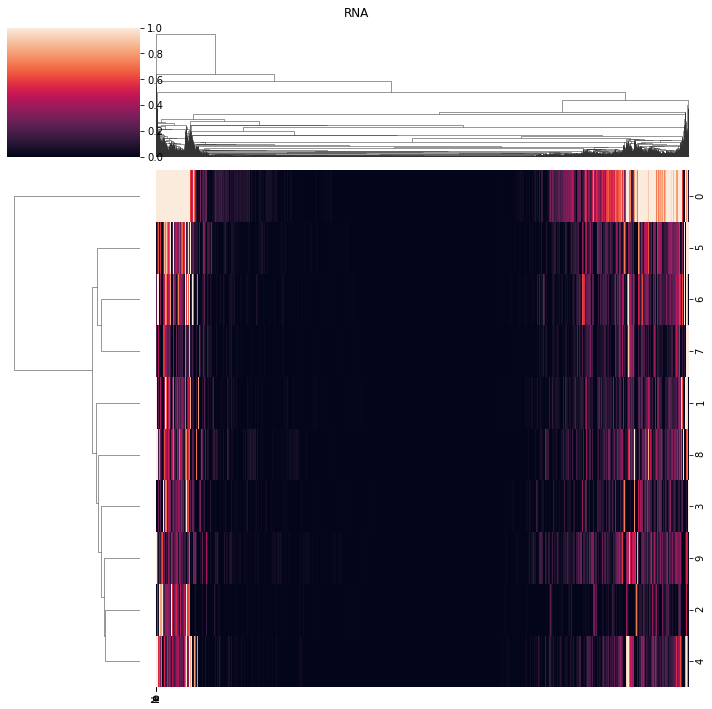 ../_images/notebooks_intNMF_example_26_0.png
