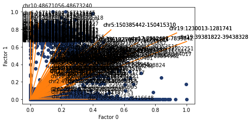 ../_images/notebooks_intNMF_example_36_0.png